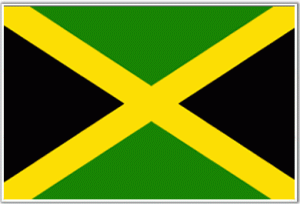 The Jamaican flag