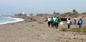 Volunteers working the beach. (My photo)